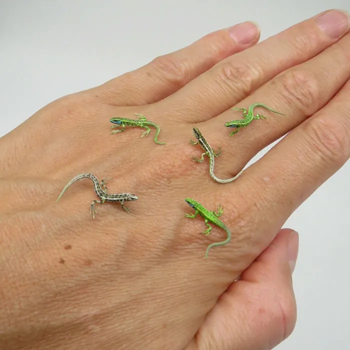 30 Biologically Accurate Miniature Animals Created By Renowned Hungarian Artist Fanni Sandor