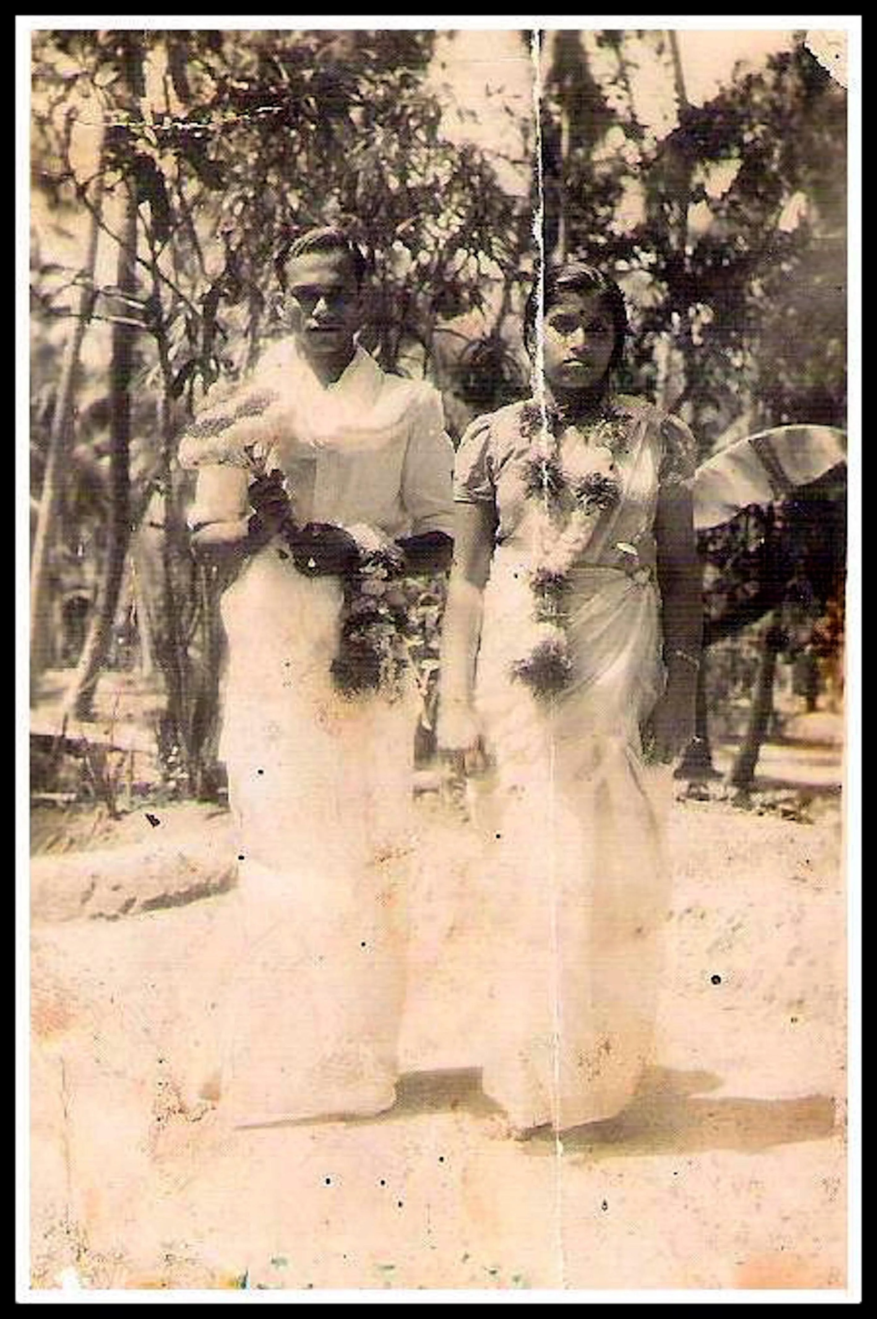 A Wedding Photo (1949)