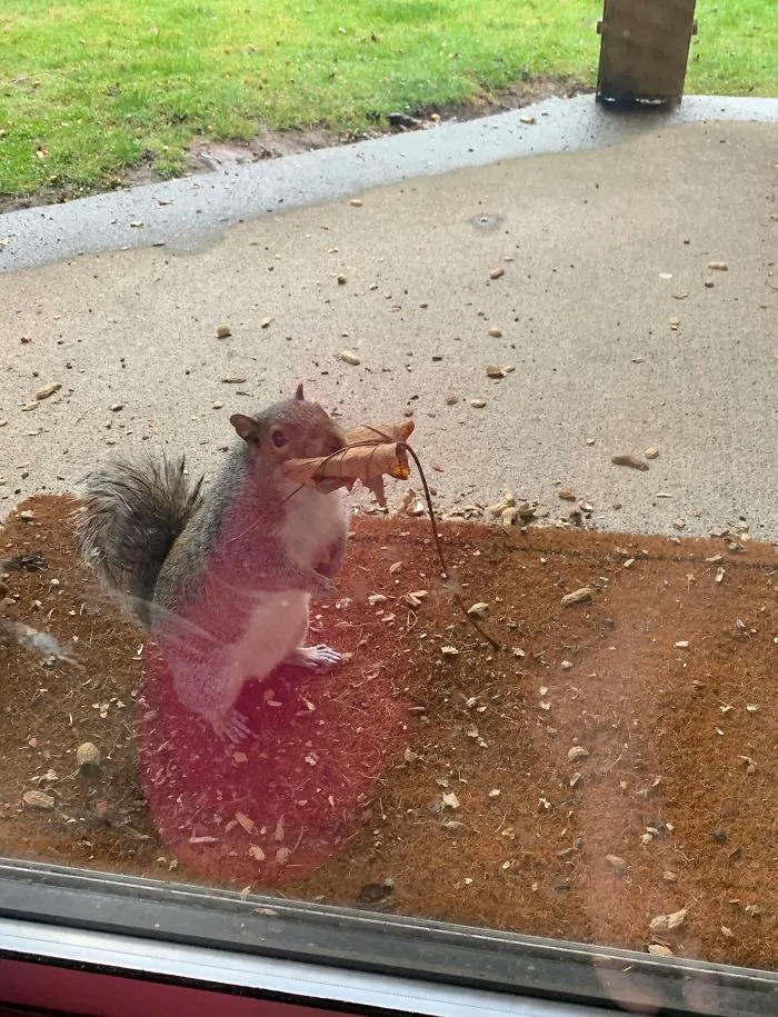 "I'll Trade You This Leaf For A Snack"