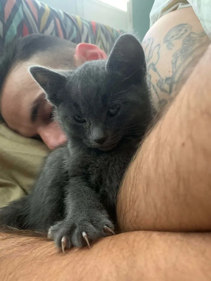 Gus Just Moved In, He’s Making Sure We Know He’s The Boss Now.