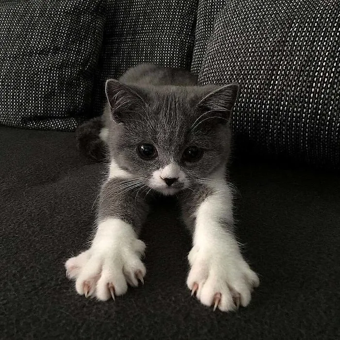 Bebe Precioso!!!!!