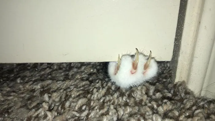 I’m Slightly Terrified