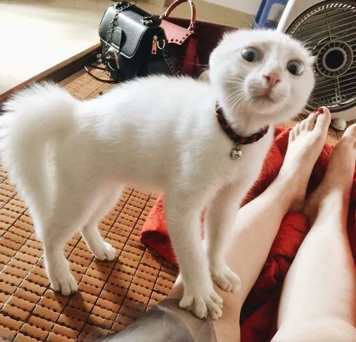 She Got Spooked