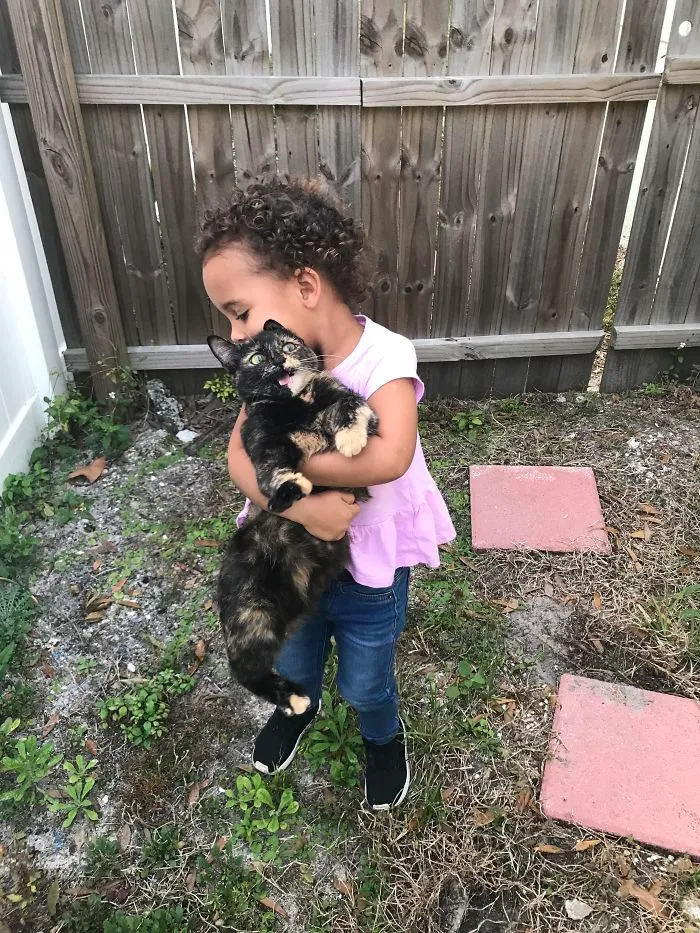 Trying To Teach My Daughter To Hold The Cat Properly And Captured This Gem