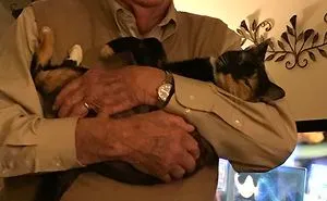 50 Dads Who Didn’t Want The Damn Pet In Their Lives