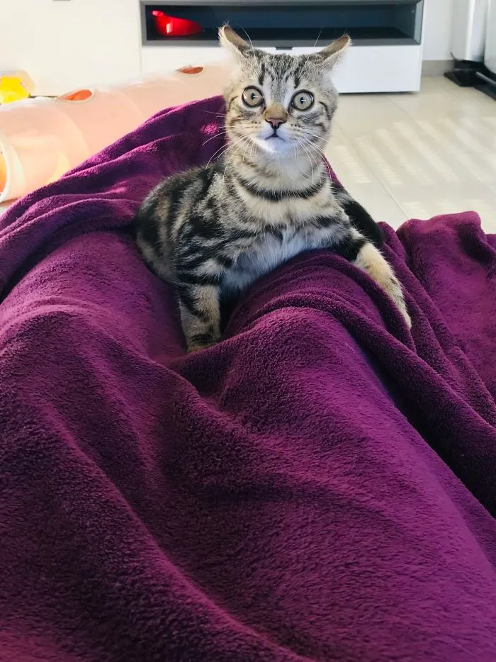 He Heard Me Sneeze For The First Time