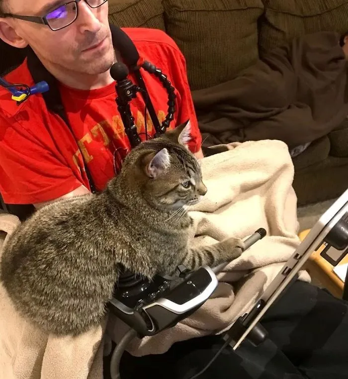 I Wasn't Keen On Getting Cats ( I Can't Even Pet Them), I Now Watch Videos For Cats With Luna At Least Once A Day