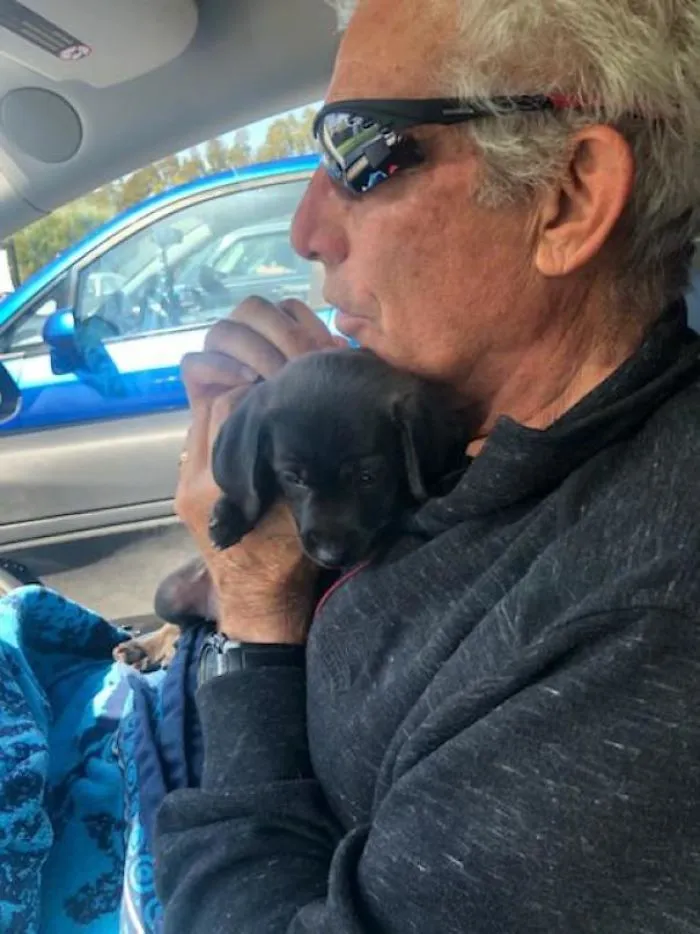 Mi padre no quería un perro. Se puso a llorar en el refugio cuando este se sentó en su regazo. Bienvenido, Beni