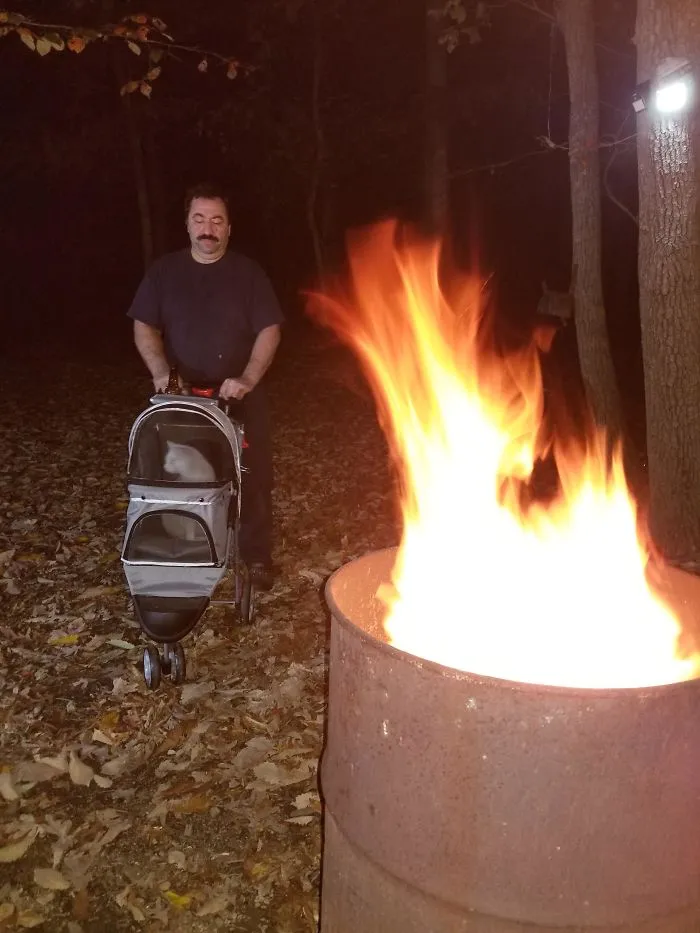 Un año después de que aceptara que tuviéramos gato, disfrutando del fuego