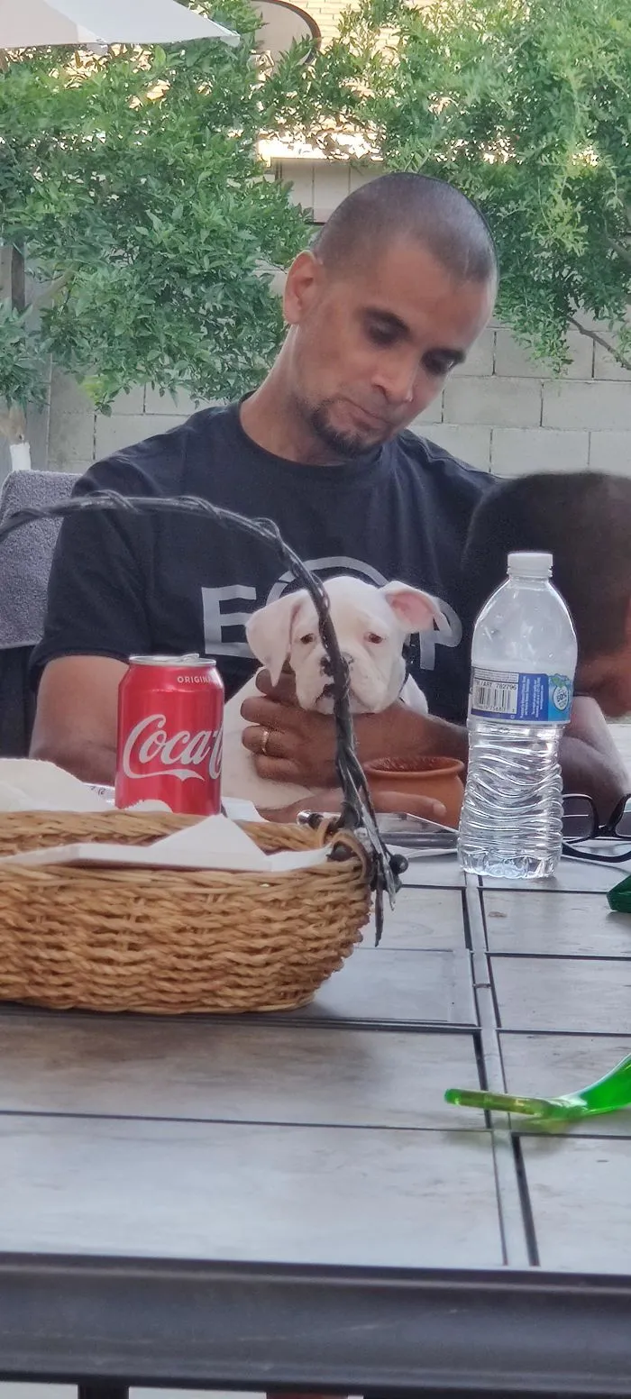 Dijo que no quería un perro en casa. Este es él ahora