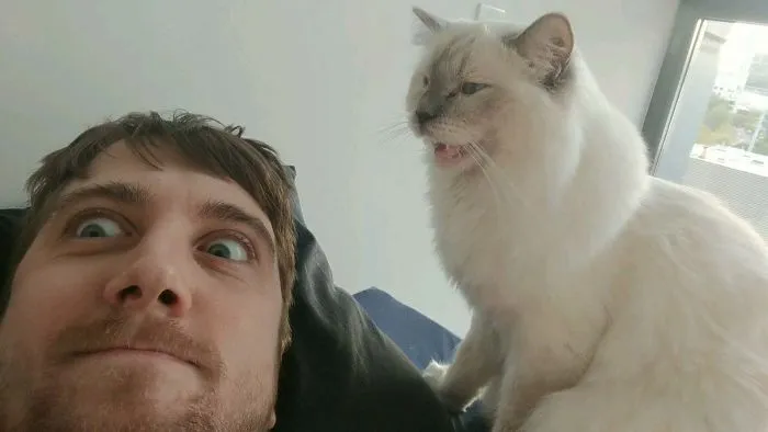 Es adorable, pero taaan molesto