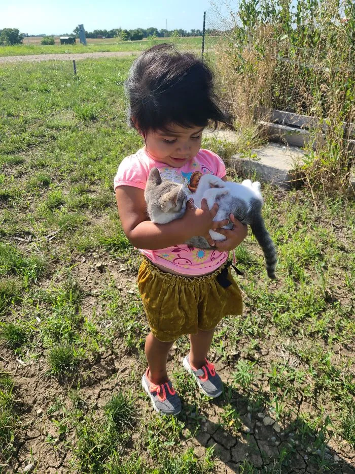 Got A New Kitten And My Daughter Thinks Its Her Baby.