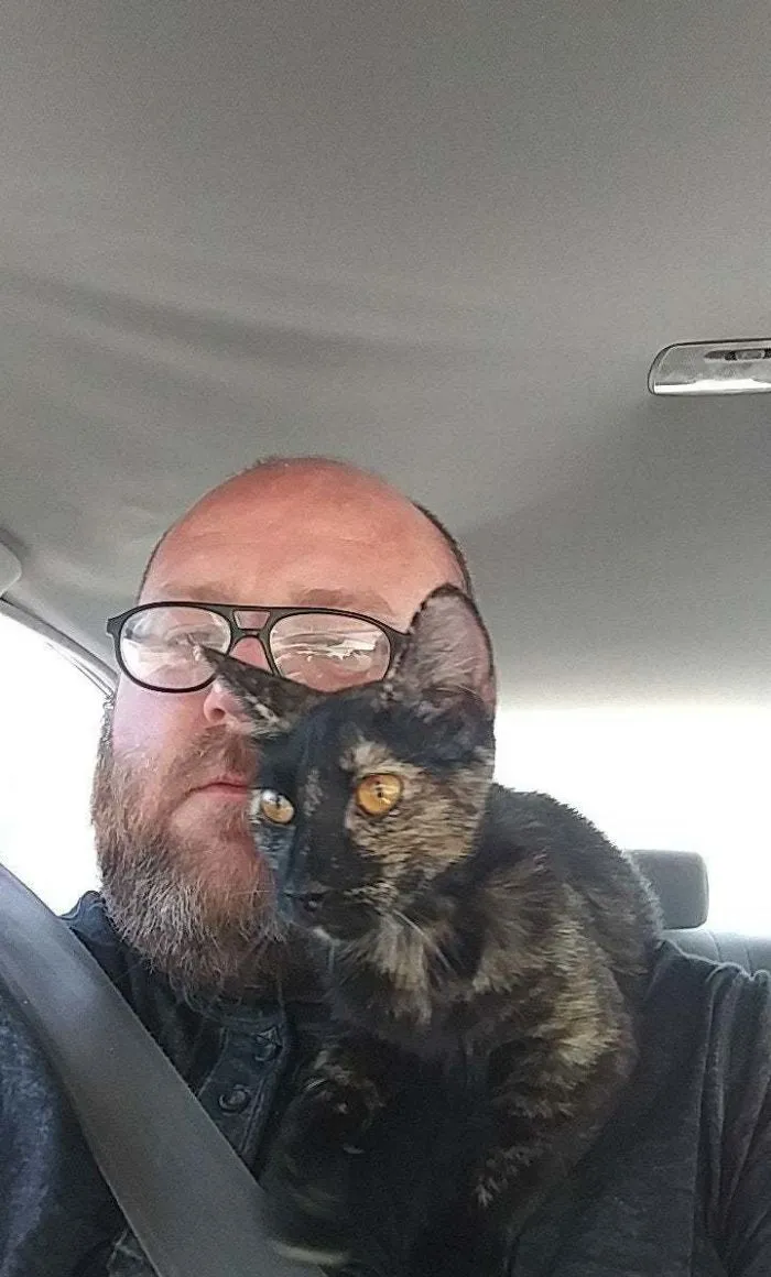 He adoptado a esta belleza y se ha pasado así todo el viaje a casa