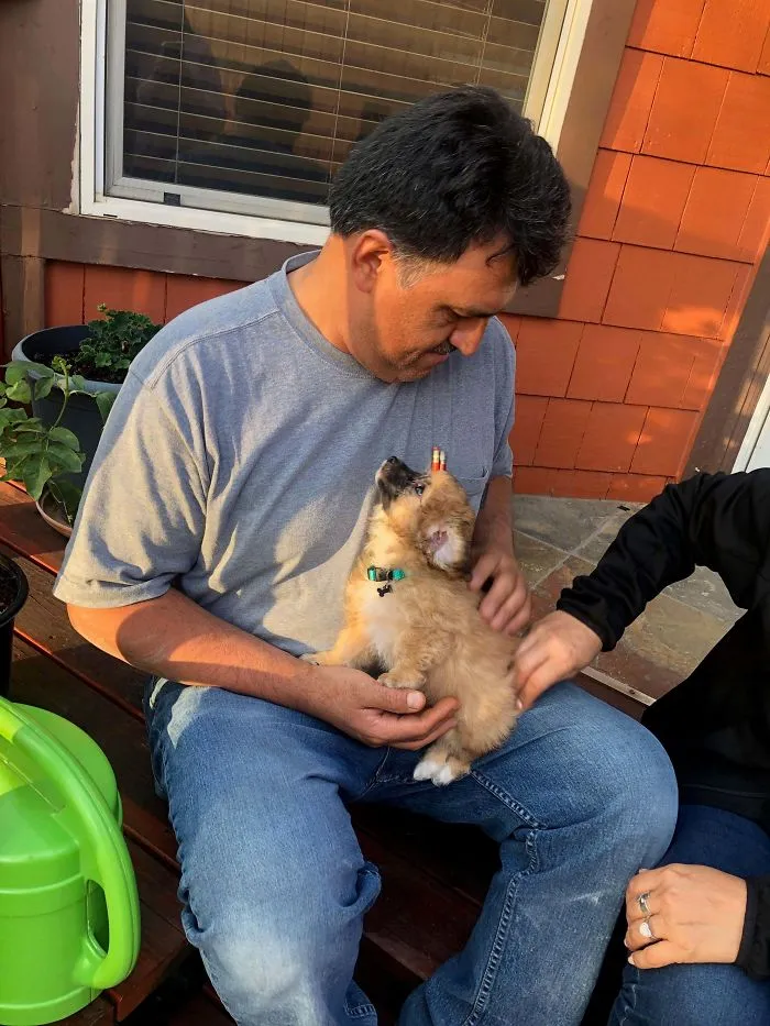 Mi padre no quería mascotas, hasta que adoptamos a este a sus espaldas