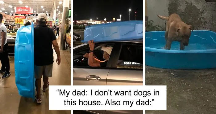 50 Dads Who Didn’t Want The Damn Pet In Their Lives