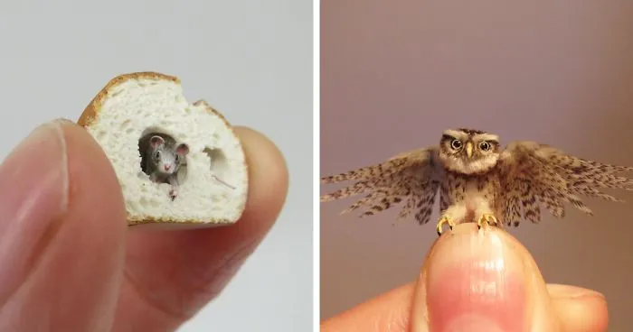 30 Biologically Accurate Miniature Animals Created By Renowned Hungarian Artist Fanni Sandor