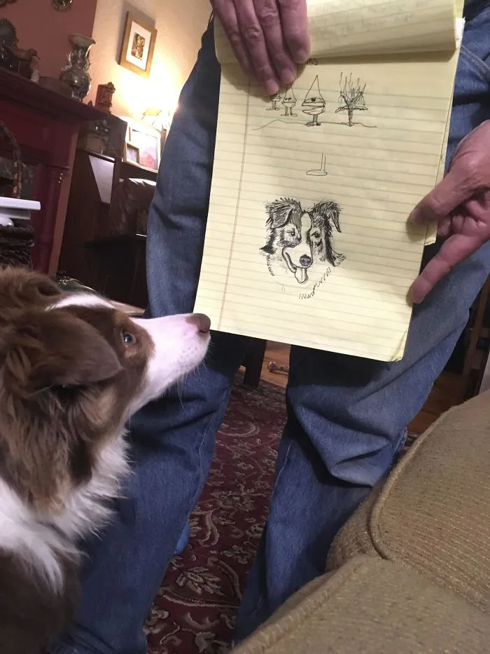 En 7 meses ha pasado de "No quiero un perro y punto" a esto