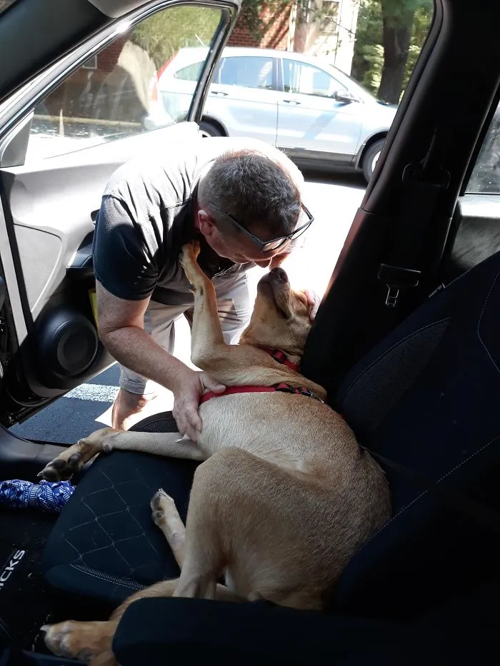 "That Brown Dog" Became "Brown Dog" Became "Mr. Brown" Became "Doc Brown Wants To Stay With Me When You Move Out." Doc Brown Did Move Out With Us, This Is Their First Reunion After About 6 Months