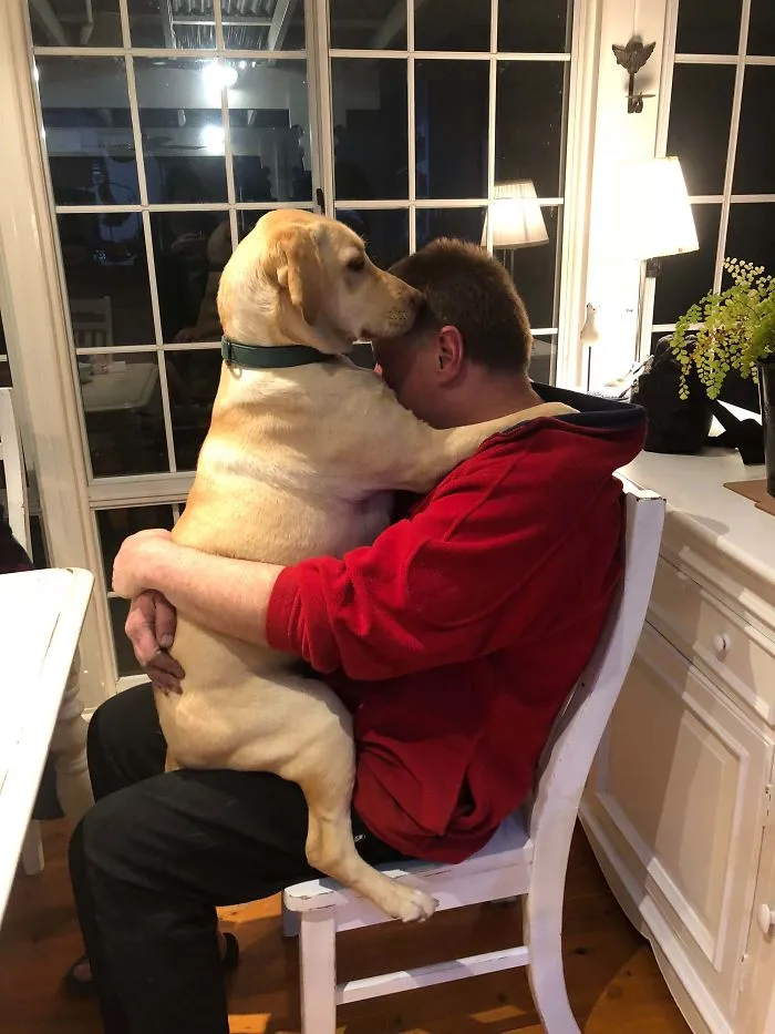 Papá no quería un perro. Mi padre y el perro ahora: