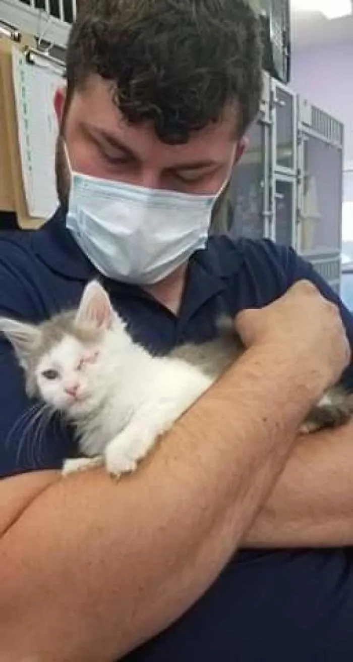 Adopted A One Eyed Cat Today. Everyone Say Hi To Nick Furry