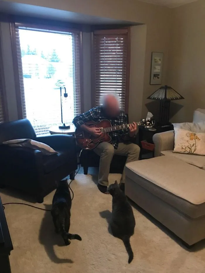 Ahora cada noche mi padre toca la guitarra a los gatos que nunca quiso adoptar