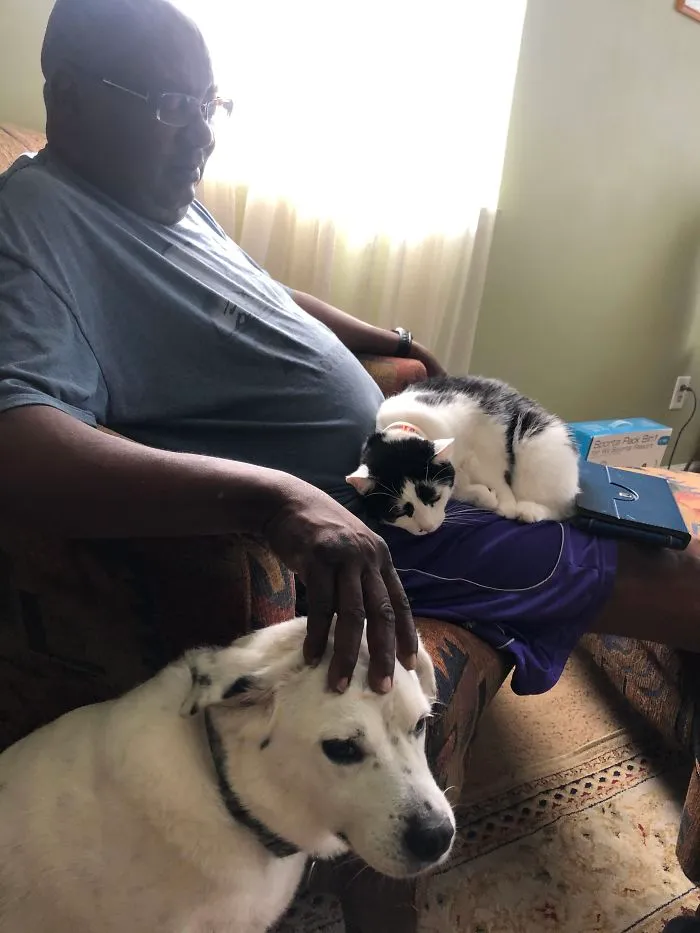 Mi padre siempre habla mal del gato, pero entro al salón y los encuentro así