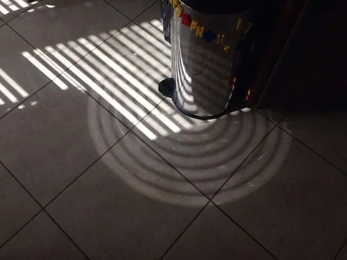 Cuando la luz pasa a través de las persianas y da en mi cubo de basura