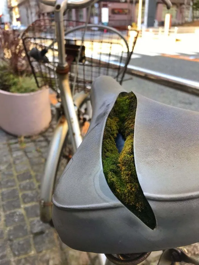 This Is What Happens When You Leave A Bike Outside Too Long