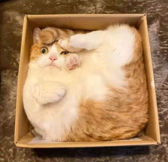 ¿Es esto el cubismo?