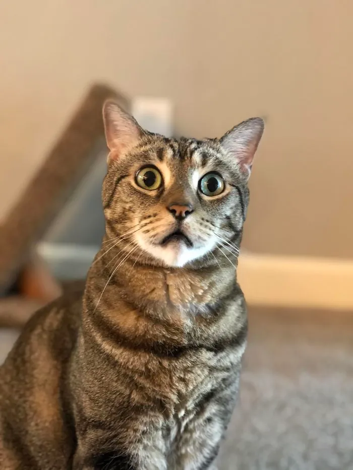 La reacción viendo las noticias