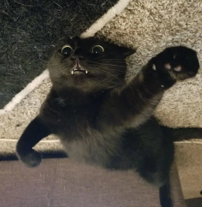 Pose de superhéroe