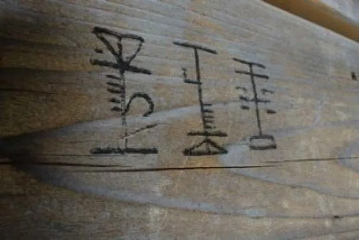 What Are These Characters Found On The Back Side Of A Sign On A Woodland Trail In Alaska?