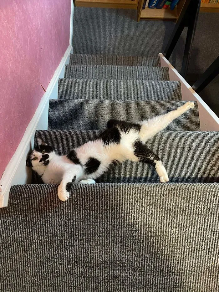 Probando poses nuevas en la escalera