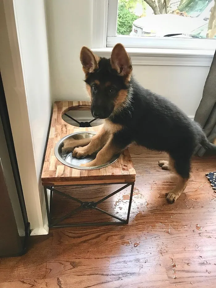 Well, He Figured Out That He Can Splash Water Everywhere