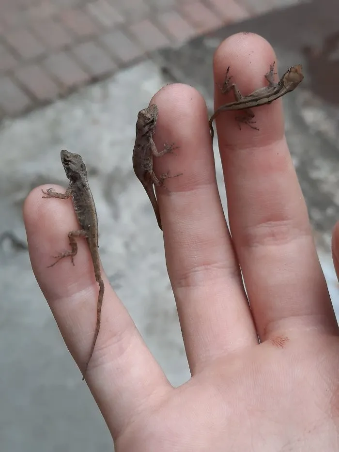 Disfruten la foto de estos 3 bebés