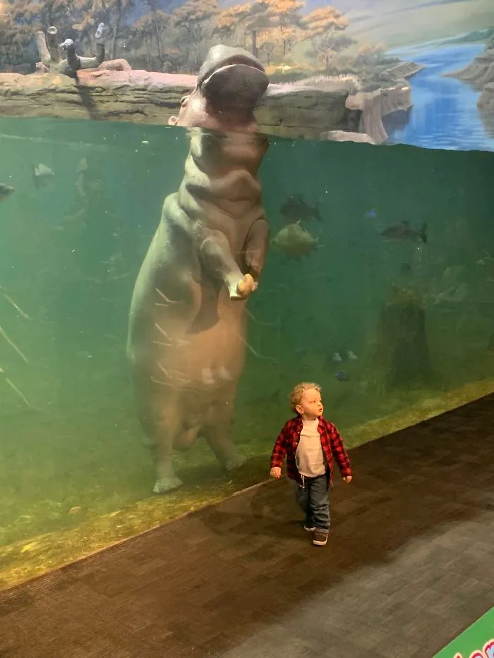 Hipopótamo vs niño