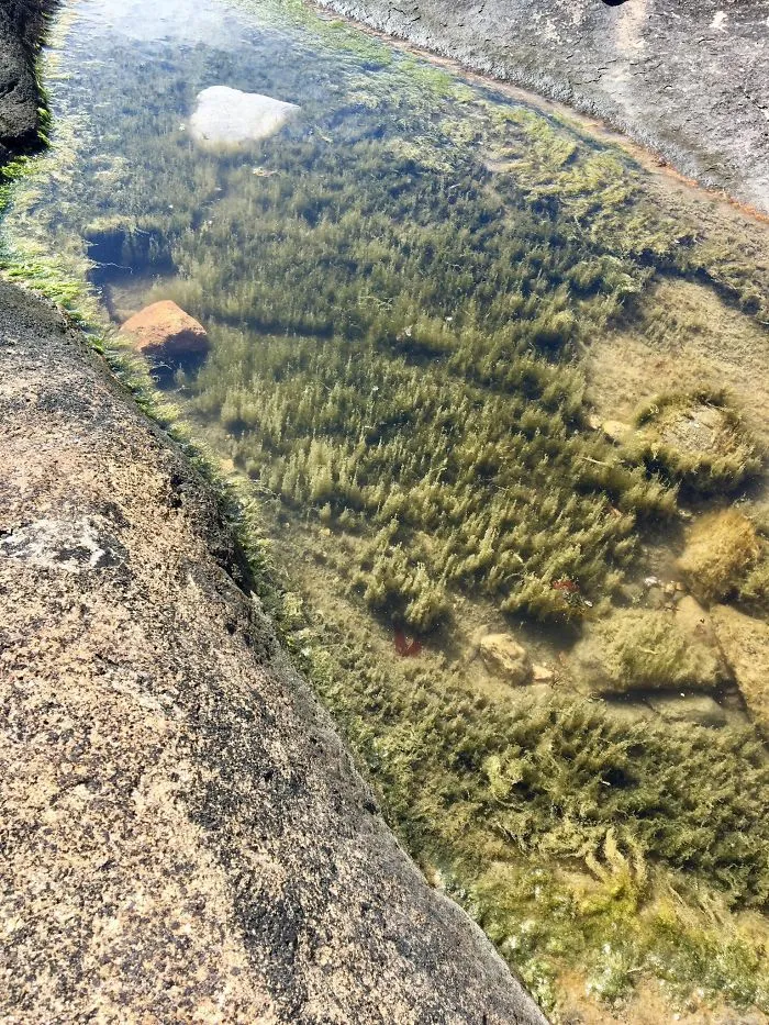 Esto es un charco