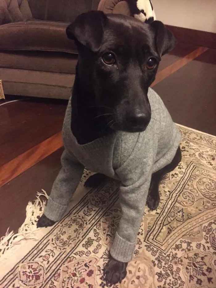 I Shrunk My GF's Favourite Sweater, But Her Loss Is Oak's Gain