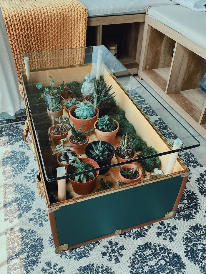 31 Times People Made Their Home Greener By Turning Tables Into Succulent Gardens