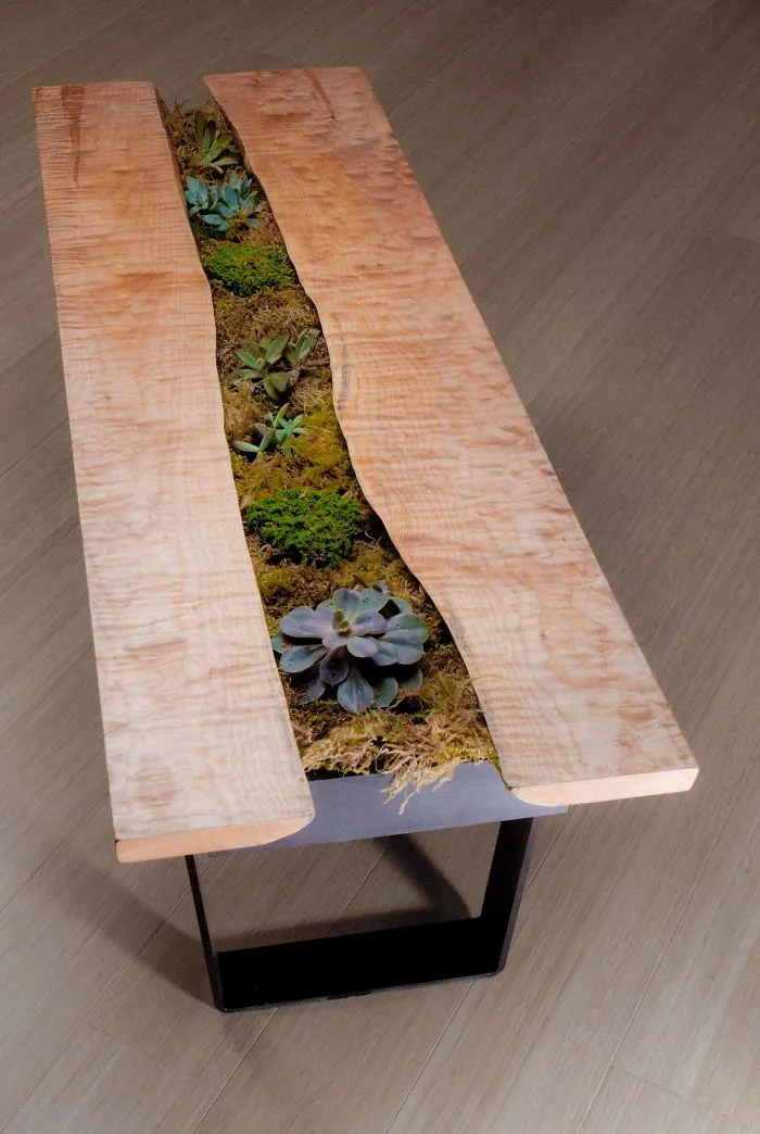 31 Times People Made Their Home Greener By Turning Tables Into Succulent Gardens