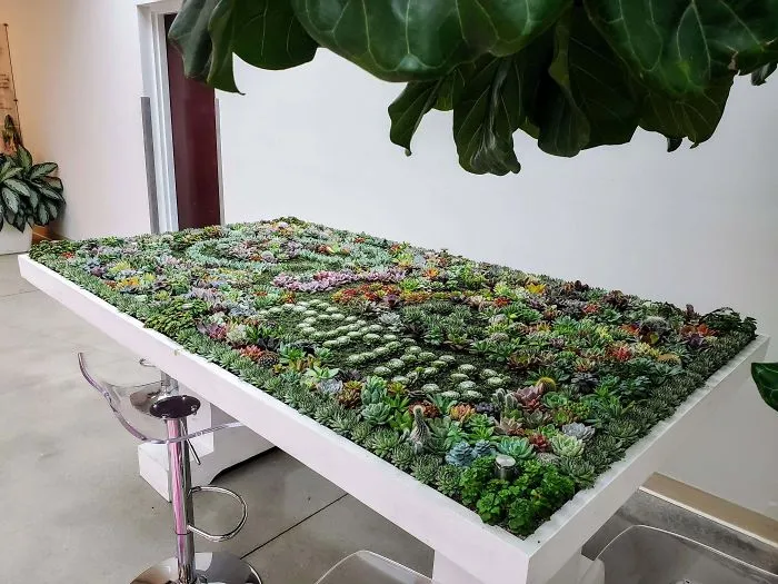 31 Times People Made Their Home Greener By Turning Tables Into Succulent Gardens