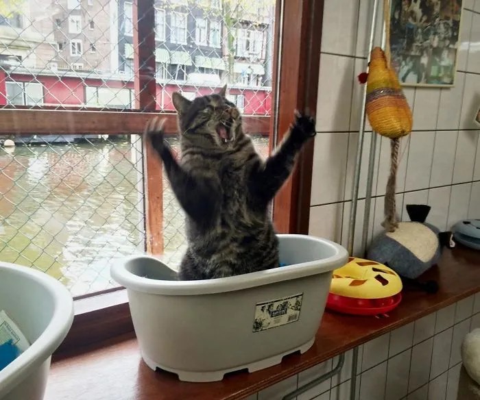 Met This Guy In Amsterdam