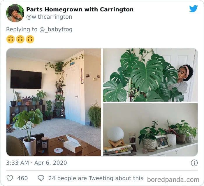 People Are Saying This Comic About Plants Is So True, And Post Pics To Prove It (30 Pics)