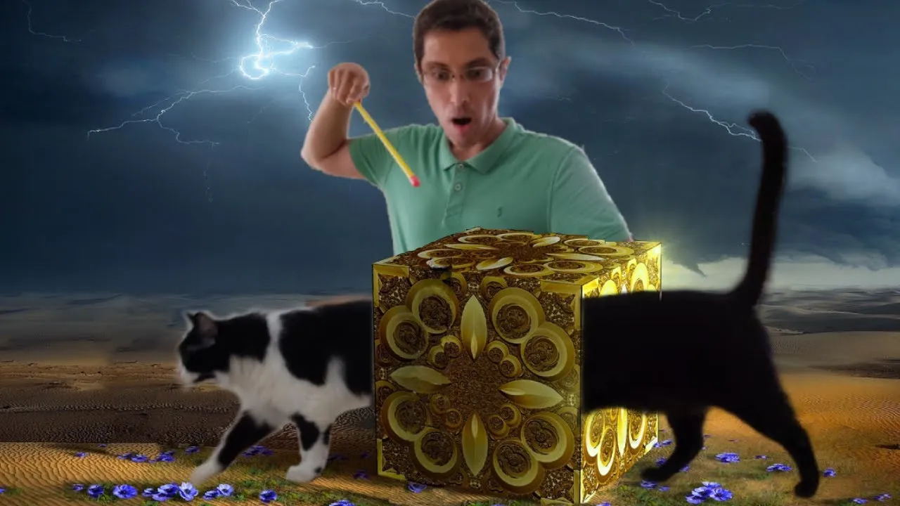 Funny Cats And Magic Box😻