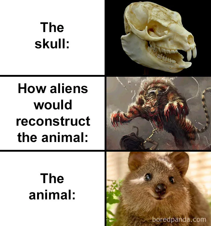 People Compare How Aliens Would Reconstruct Animals Based On Their Skulls Vs. What They Really Look Like (28 Pics)