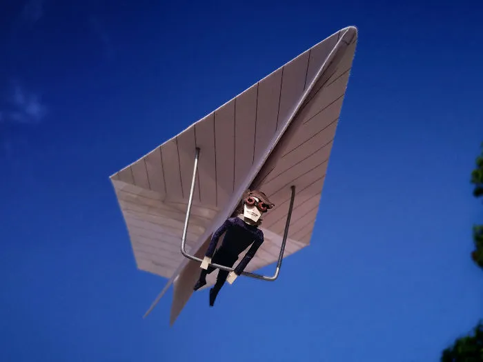 Fly Boy