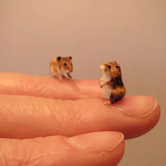 30 Biologically Accurate Miniature Animals Created By Renowned Hungarian Artist Fanni Sandor