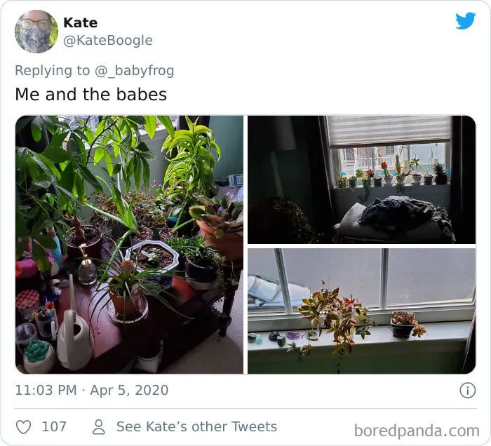 People Are Saying This Comic About Plants Is So True, And Post Pics To Prove It (30 Pics)