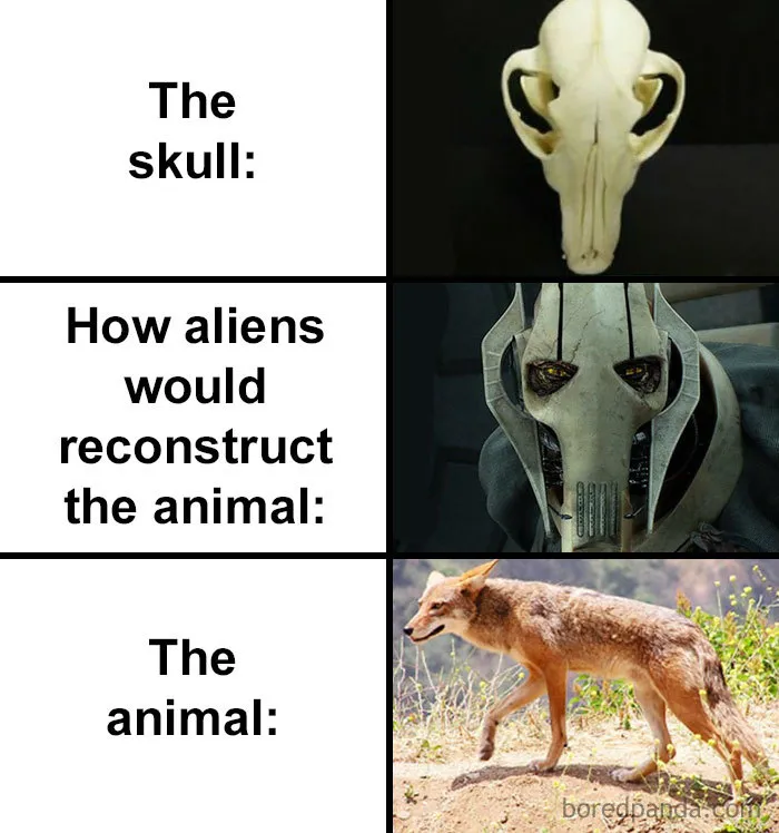 People Compare How Aliens Would Reconstruct Animals Based On Their Skulls Vs. What They Really Look Like (28 Pics)