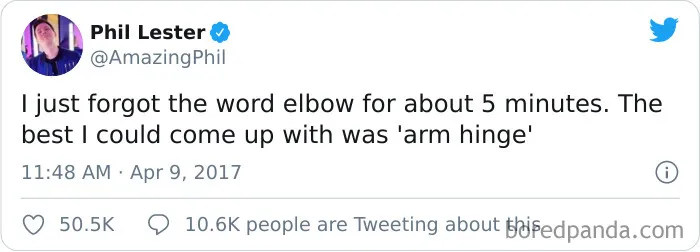 Arm Hinges
